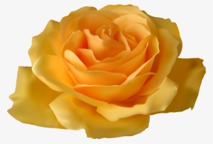 Yellow Rose Png Clipart - Purple Rose With Stem Transparent Background #934994