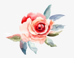 Travelling To Infinity - Rose Flower Illustration #935035