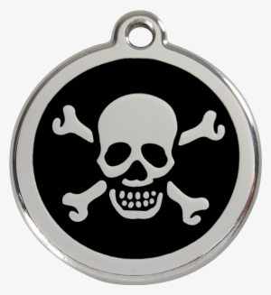 1xbbm, 9330725003699, Image - Red Dingo Dog Collar Tag Skull Design Black #935800