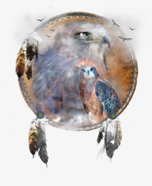 Bleed Area May Not Be Visible - Spirit Of The Hawk #935986