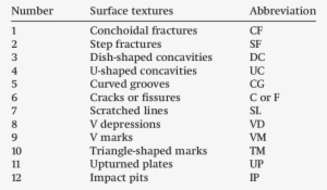 Breakage Textures Used In Analysis - Employee Morale #936085