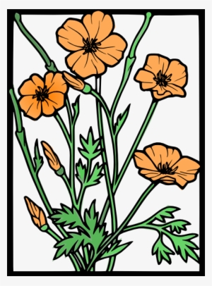 Common Poppy Flower Remembrance Poppy PNG - california poppy, clip art,  common poppy, coquelicot…