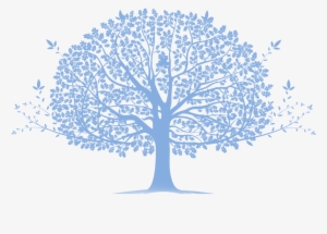 Family Tree Transparent #936786 Family Tree Transparent #936786