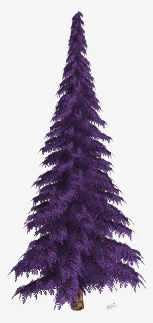 Winter Trees & Christmas Trees - Christmas Tree #936964