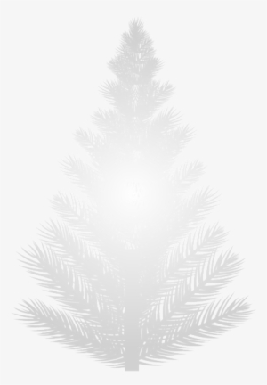 White Pine Tree Png Clip Art Image - Christmas Tree #937076