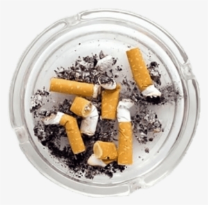 Free Png Filled Ashtray Png Images Transparent - Writers: A History Of American Screenwriters #937260 Free Png Filled Ashtray Png Images Transparent - Writers: A History Of American Screenwriters #937260