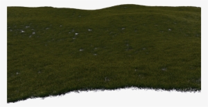 Grass B Flat 1 - Grass #937508