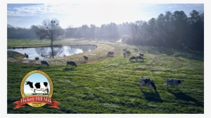 Wallpaper 3 - Milk Farm #937625