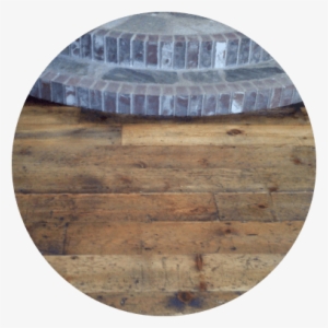 Paraquet - Plank #937829