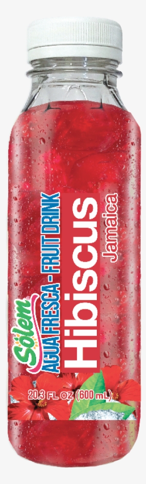 3 Fl Oz - Plastic Bottle #938867