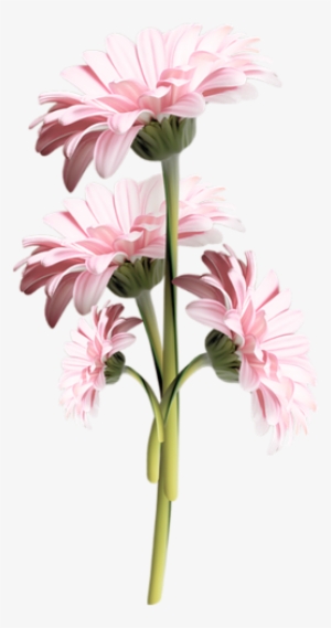 Tube Fleurs Roses - Flower #939153