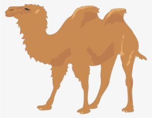Cartoon Camel Clipart - Camel Vector Free #939256