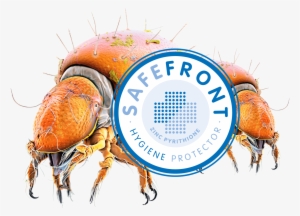 Acaro National Geographic #939279