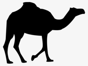 Camel, Safari, Animal - Camel Silhouette #939280
