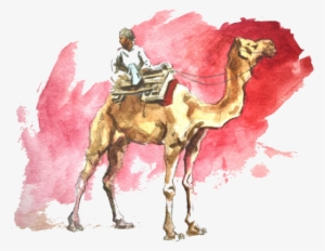 Travel Destinations - Watercolor Camel #939385