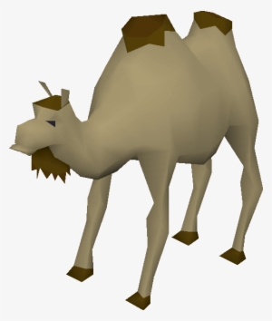 Al The Camel #939552