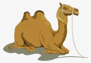 Download Png Image Report - Camel Clipart #939680 Download Png Image Report - Camel Clipart #939680