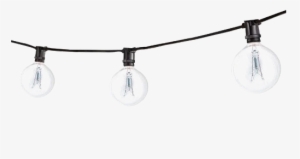 Decorative Light Png Free Download - String Lights Bulbs Png #939823