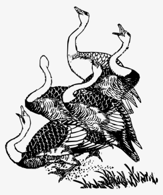 This Free Icons Png Design Of Wilde Geese #9300724