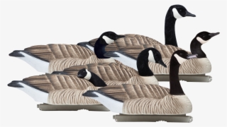 Floating Honkers - Final Approach Floating Goose Decoy Reviews #9300729