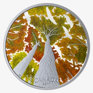 X169981 Rev-570 - Silver #9300837