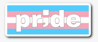 Trans Pride - Graphic Design #9302881