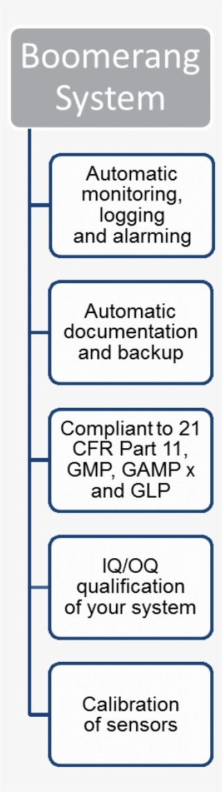 Boomerang Features - Cisco Systems, Inc. #9303690