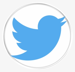 021 830 - Grey Twitter Logo Png #9307226