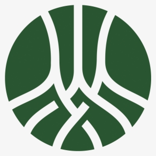 Experience Rooted #9307722