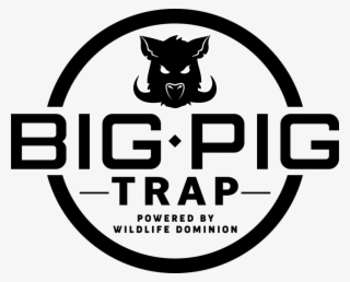 Pigs Png #9307821