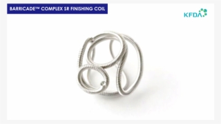 A - Titanium Ring #9310243