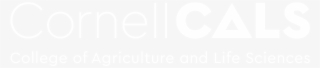 Accor Hotels White Logo #9312422