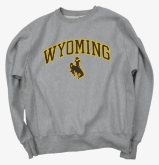 Wyoming Bh Classic Reverse Weave - University Of Wyoming #9314524