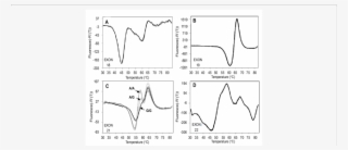 Reference Fluorescent Signatures From Normal Egfr Exon - Diagram #9315899