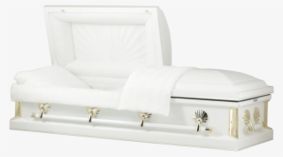 113236 - Trunk #9316041