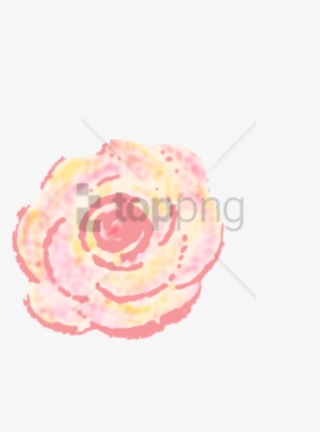 Free Png Download Persian Buttercup Png Images Background - Hybrid Tea Rose #9316180
