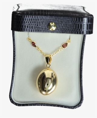Nn243 Gold Oval Bola On Red Garnet And Gold Chain - Shoulder Bag #9316358