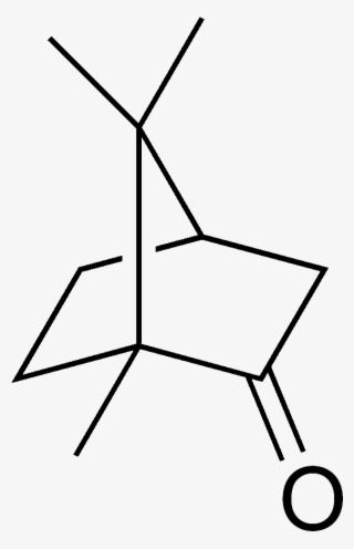 Camphor Structure - 7 Oxabicyclo 2.2 1 Heptane #9317679