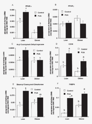 Effect Of Punicic Acid On Expression Of Peroxisome - Lactate Assay Potassium Iodide #9320958