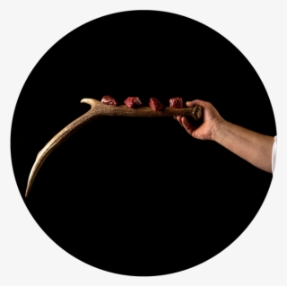 Next - Circle #9324153