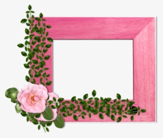 Flowers On Wood Background - Garden Roses #9324346