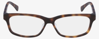 Joseph Abboud Glasses #9325839