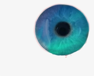 Blue Sticker - Circle #9326504