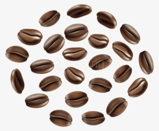 Coffee Beans Png - Png Images Of Beans Coffee #9327811