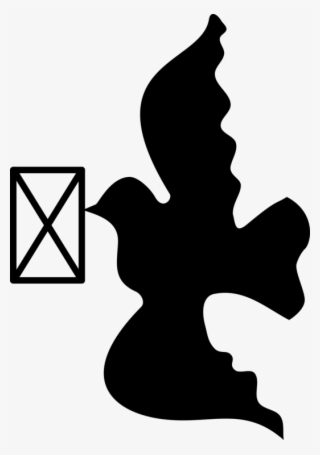 Homing Pigeon Racing Homer Columbidae Fantail Pigeon - Domestic Pigeon #9327919