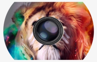 Product Details - Lion #9328435