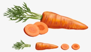 Carrot Juice Vegetable Carrots - Vegetables Sliced Png #9330254