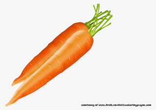 Vegetables Clipart Carrot - Baby Carrot #9330287