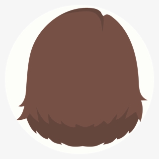 Extensions / Wigs - Chocolate #9330517