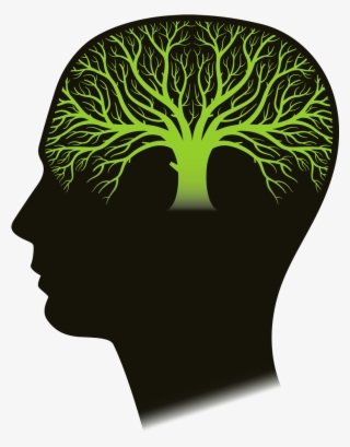 Icon Png Anatomy Pinterest - Arbol De La Vida Budista #9330763